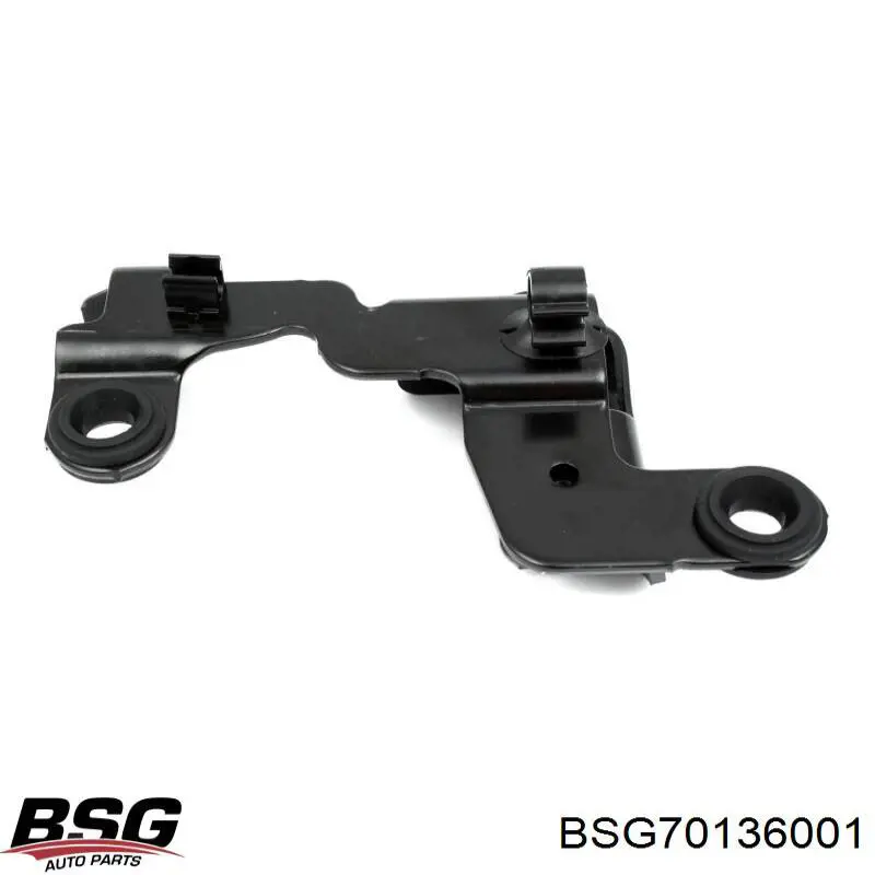 Подушка корпуса воздушного фильтра BSG BSG70136001 цена, от 3.70 USD