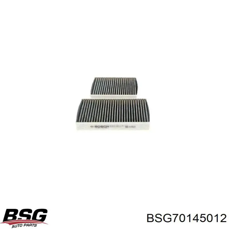 Фильтр салона BSG70145012 BSG