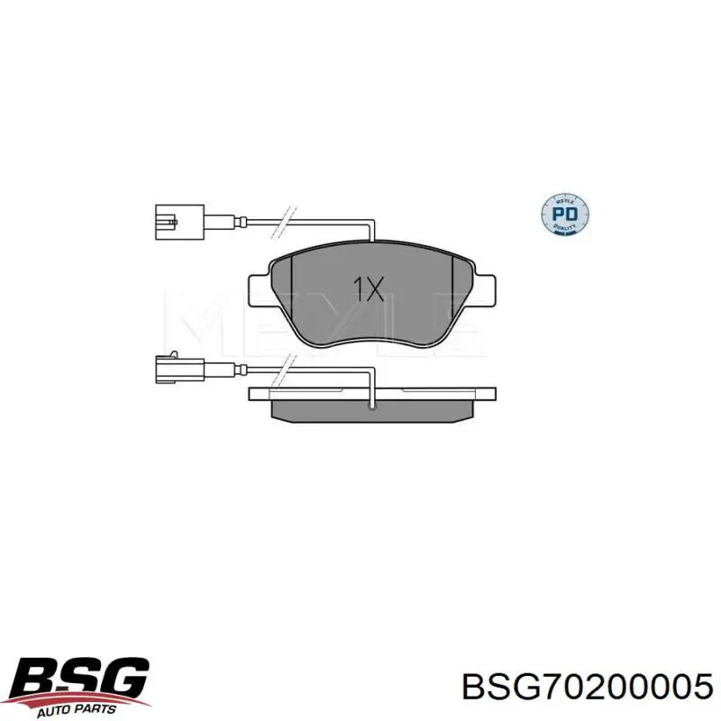 Тормозные колодки BSG BSG70200005