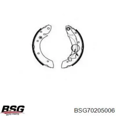 Задние барабанные колодки BSG70205006 BSG