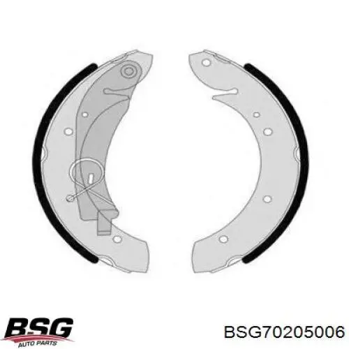 Купить BSG70205006 BSG Задние барабанные тормозные колодки