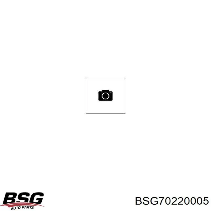 BSG70220005 BSG Цилиндр тормозной колесный, задний