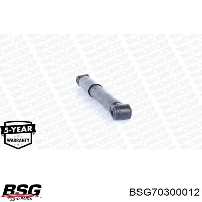 BSG 70-300-012 BSG амортизатор задний