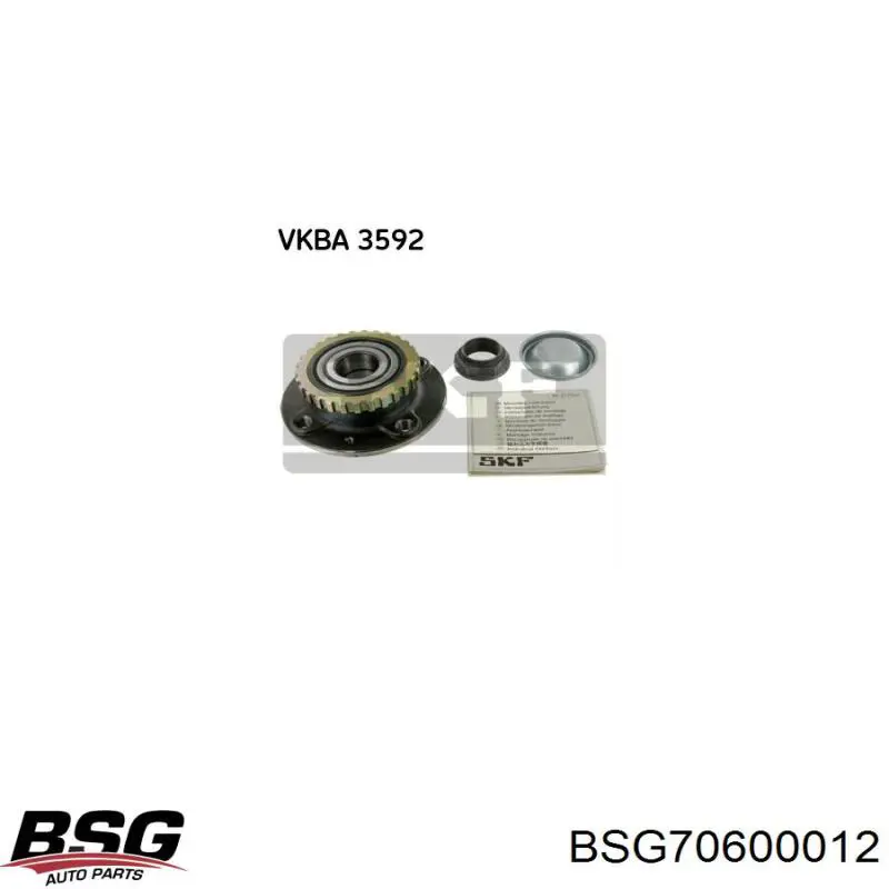 BSG70600012 BSG