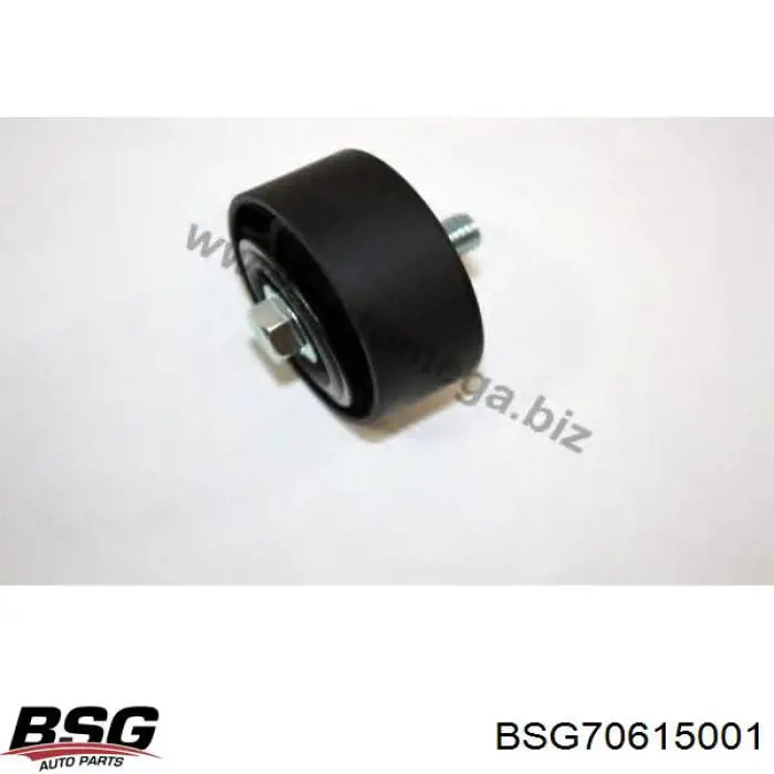 BSG70615001 BSG