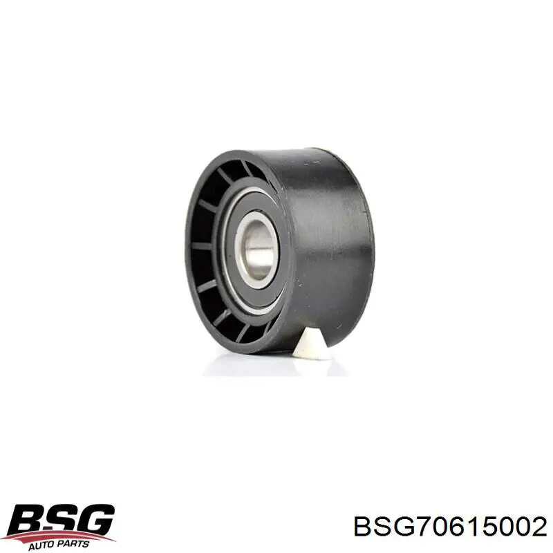 Tensor de correa de alternador BSG70615002 BSG