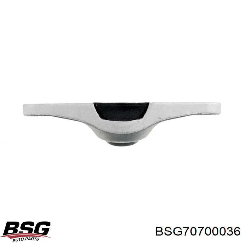 BSG70700036 BSG limitador da porta deslizante, na carroçaria superior