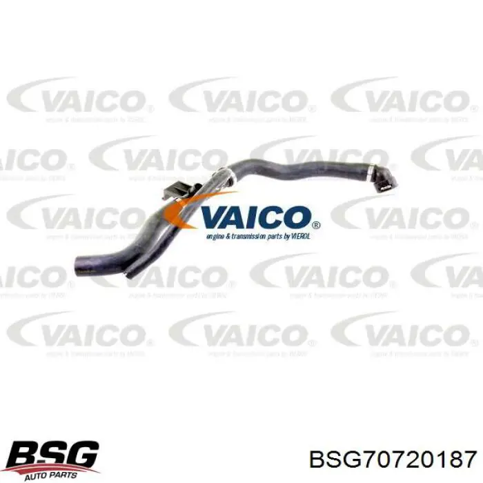 BSG70720187 BSG mangueira (cano derivado inferior do radiador de esfriamento)