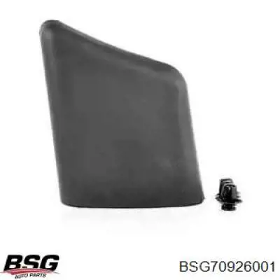 BSG 70-926-001 BSG placa sobreposta do pára-lama dianteiro direito
