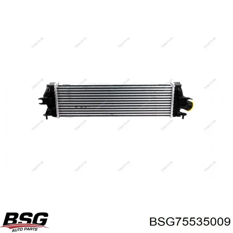 Интеркулер BSG75535009 BSG