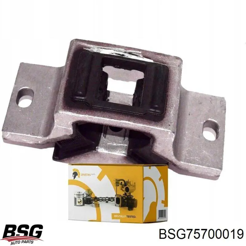 BSG75700019 BSG