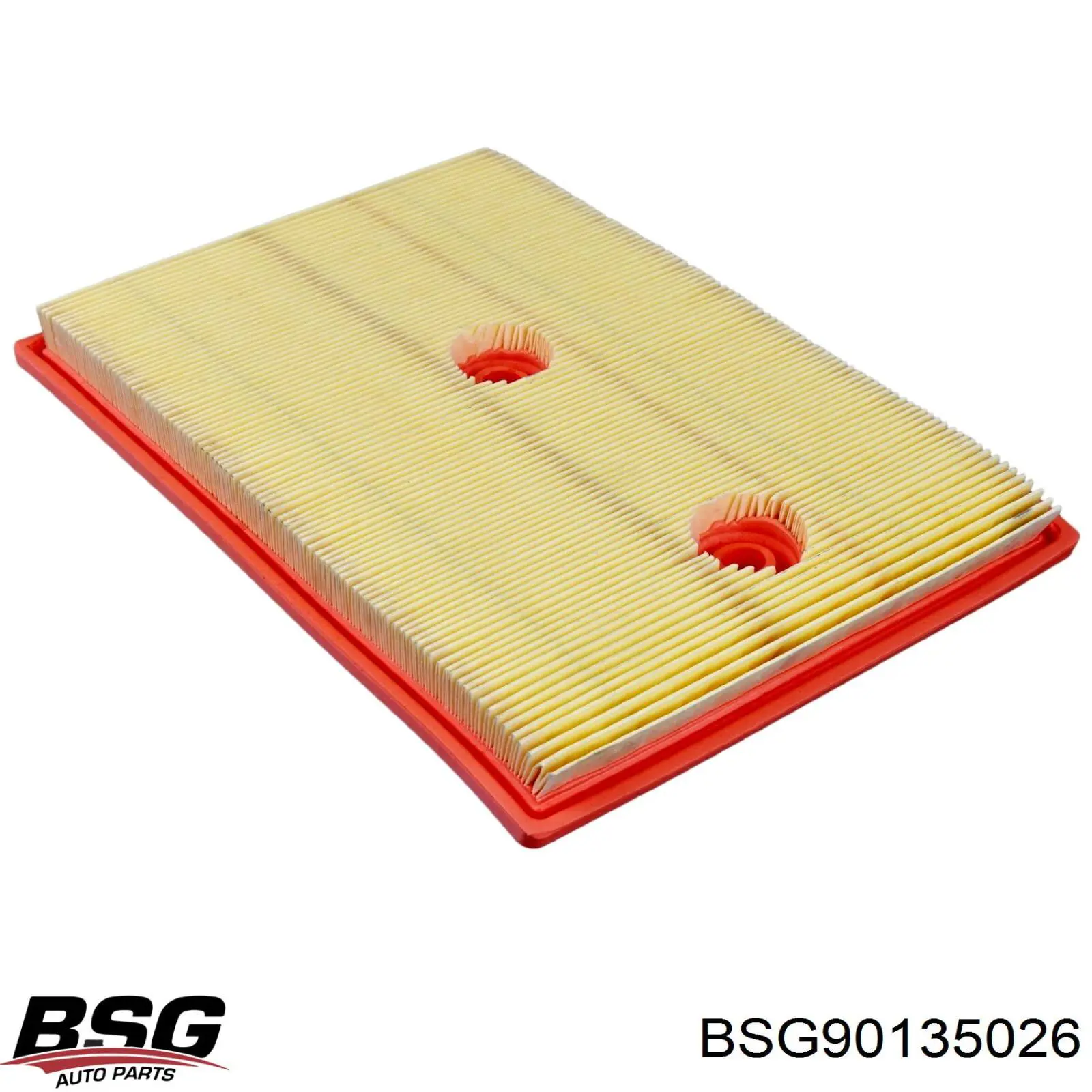 Filtro aire BSG90135026 BSG