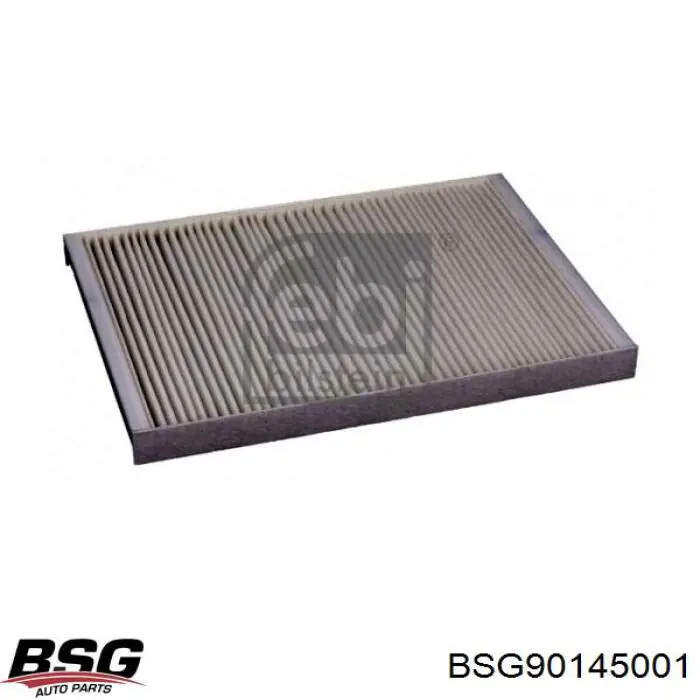 BSG 90-145-001 BSG filtro de salão