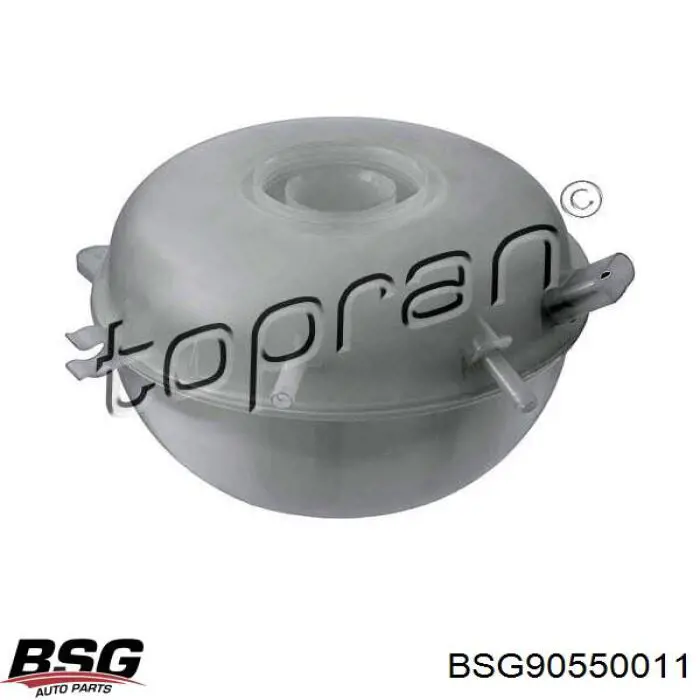 BSG90550011 BSG