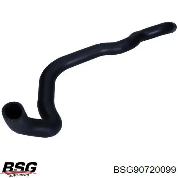 BSG90720099 BSG