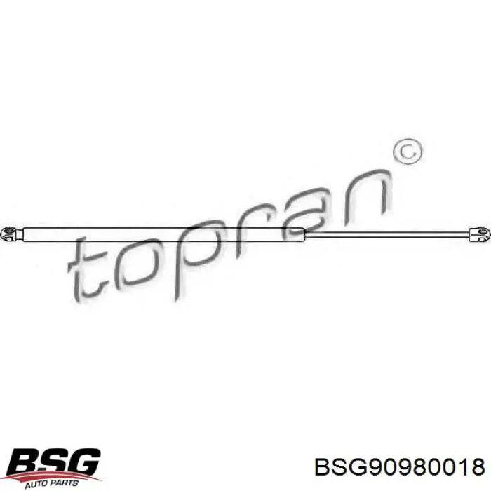 Купить BSG90980018 BSG Амортизатор двери багажника