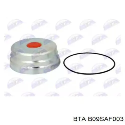 Ремкомплект задней ступицы B09SAF003 BTA