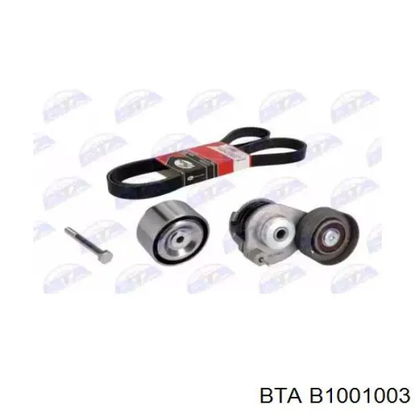 B10-01-003 BTA ремень агрегатов приводной, комплект