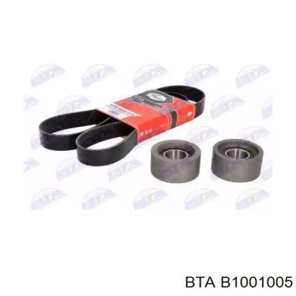 B1001005 BTA Ремень приводной, комплект
