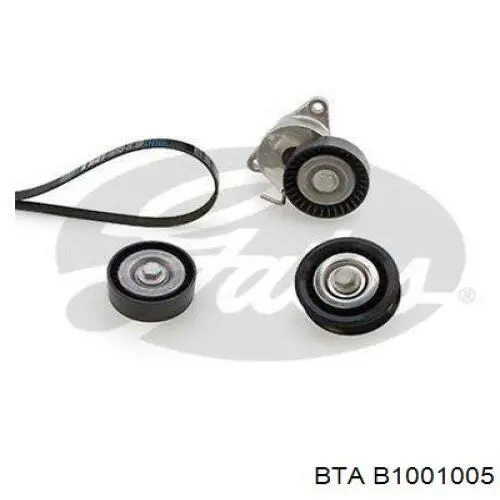 Ремень агрегатов приводной, комплект BTA B1001005 цена, от 108.22 USD