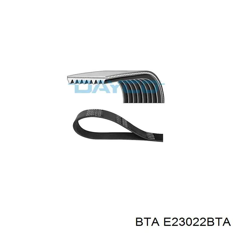 Ролик натяжителя приводного ремня BTA E23022BTA