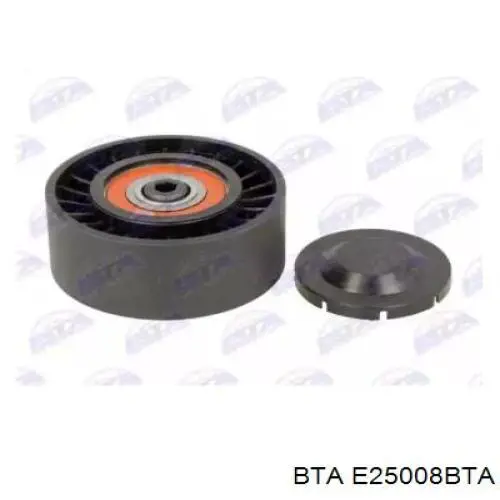 Купить E25008BTA BTA Паразитный ролик