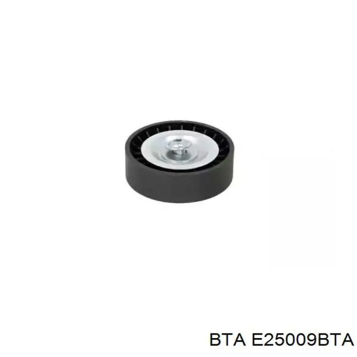 E25009BTA BTA rolo de reguladora de tensão da correia de transmissão