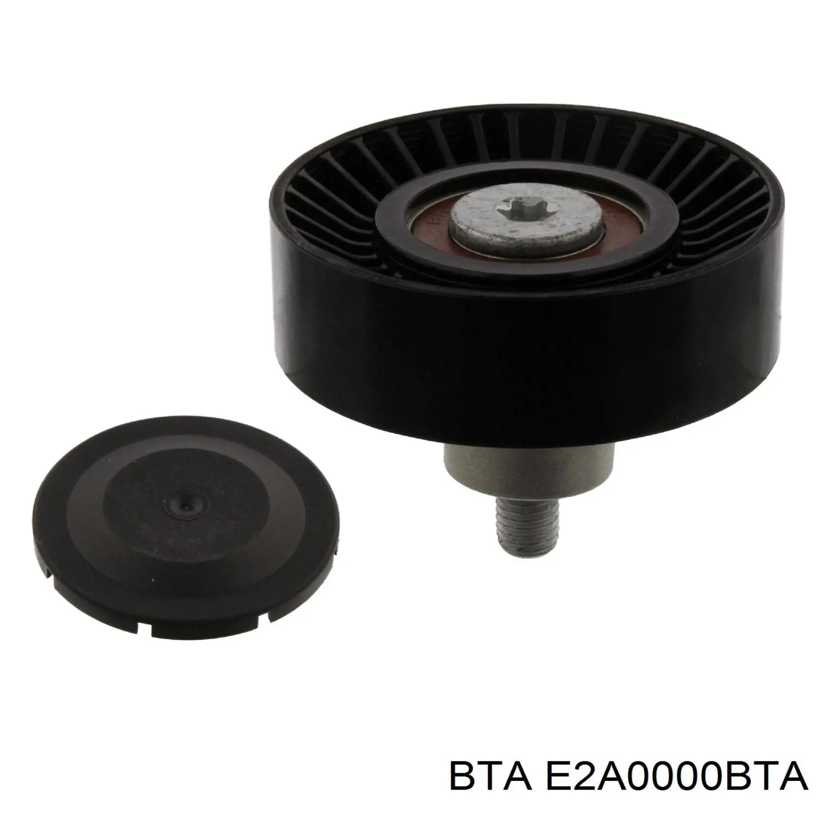 Паразитный ролик E2A0000BTA BTA