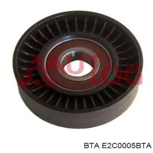Купить E2C0005BTA BTA Паразитный ролик