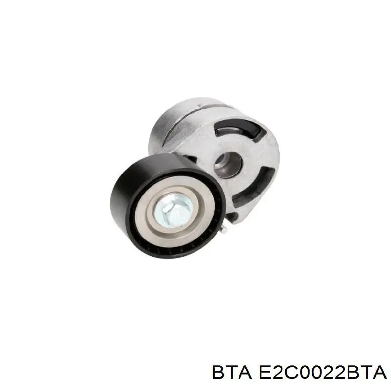 Паразитный ролик приводного ремня BTA E2C0022BTA цена, от 12.71 USD