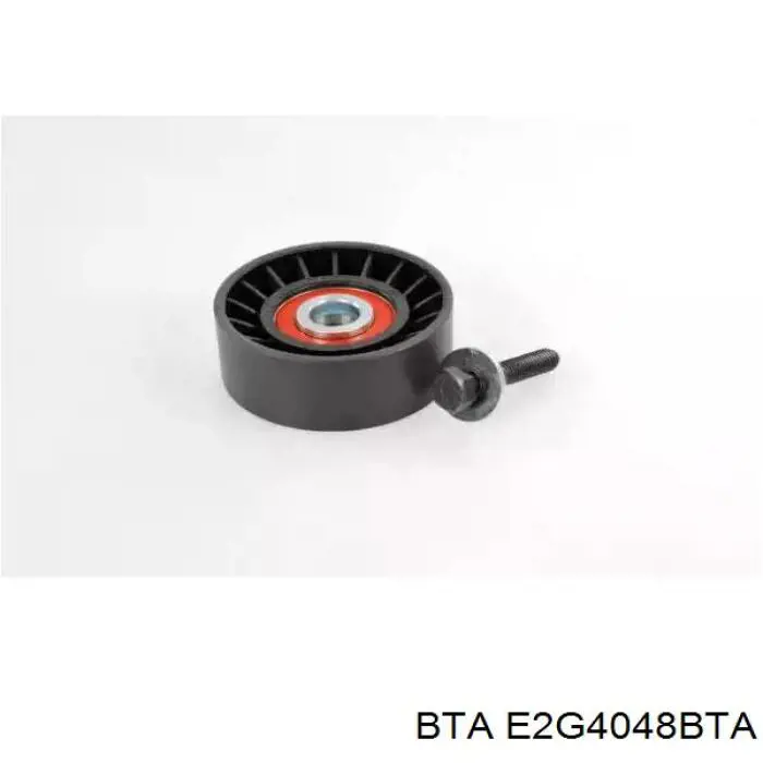 Ролик паразитный BTA E2G4048BTA