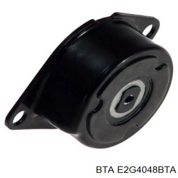Паразитный ролик E2G4048BTA BTA