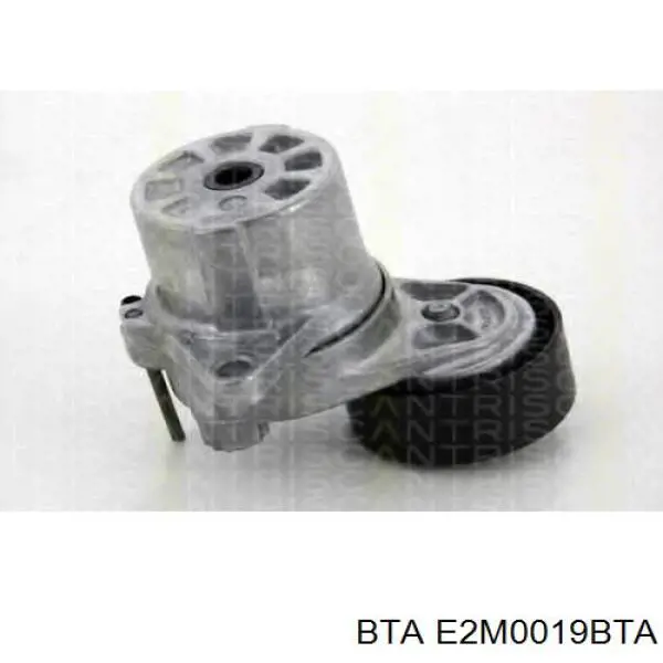 Натяжной ролик BTA E2M0019BTA цена, от 12.51 USD