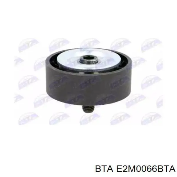 Паразитный ролик E2M0066BTA BTA