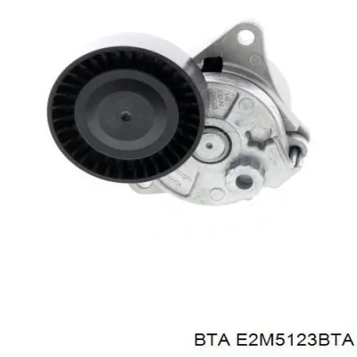 E2M5123BTA BTA Ролик натяжителя ремня агрегатов