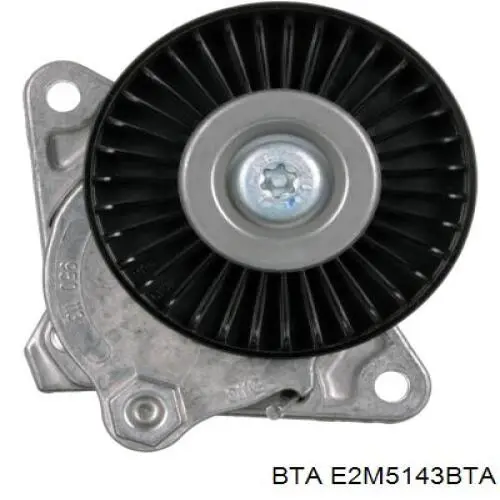 Купить E2M5143BTA BTA Натяжной ролик