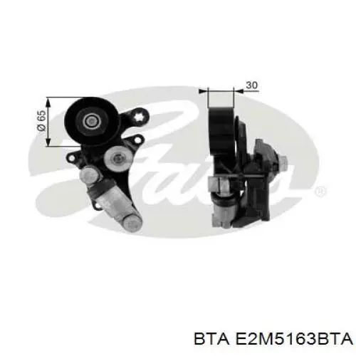 Натяжной ролик BTA E2M5163BTA цена, от 14.37 USD