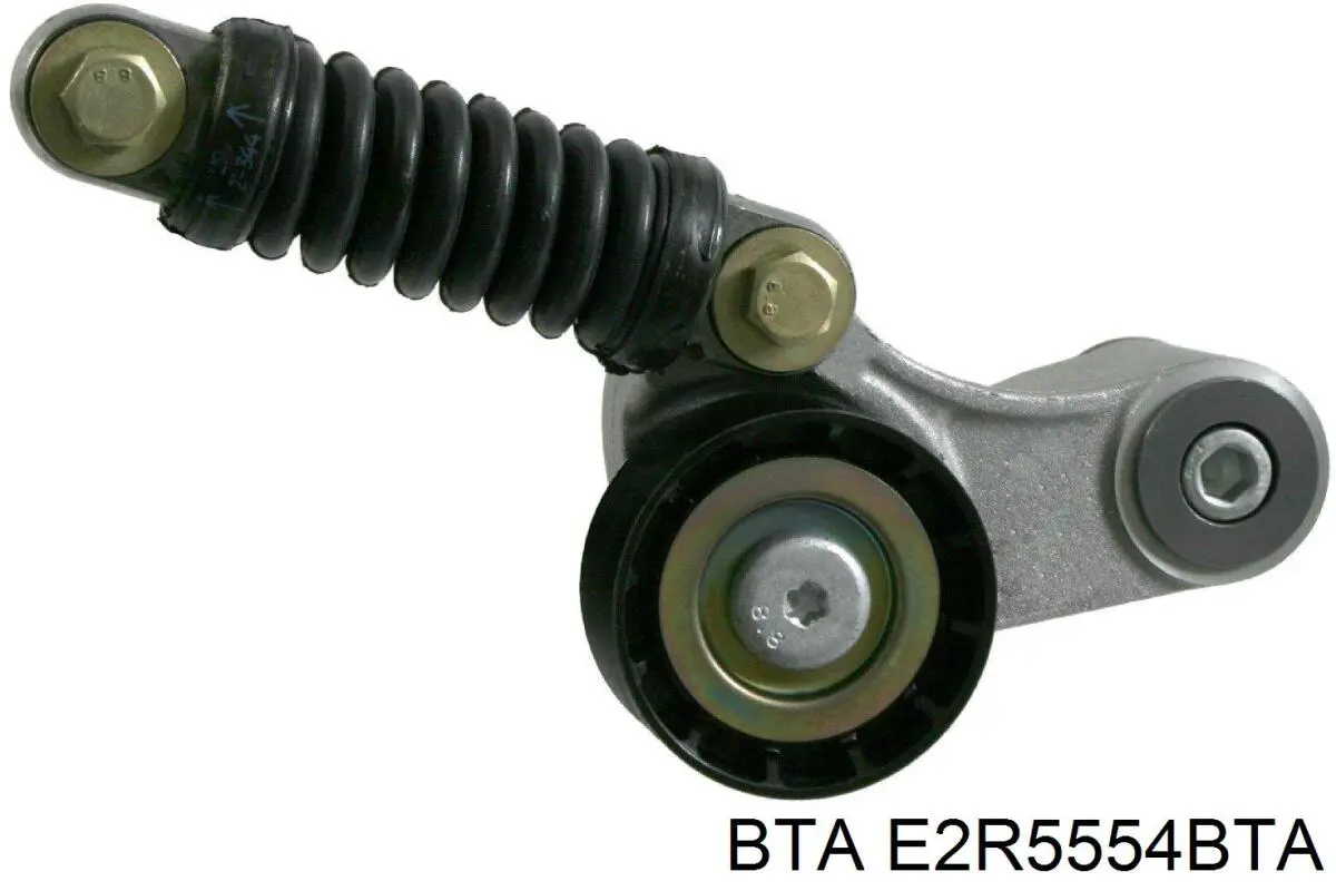 E2R5554BTA BTA