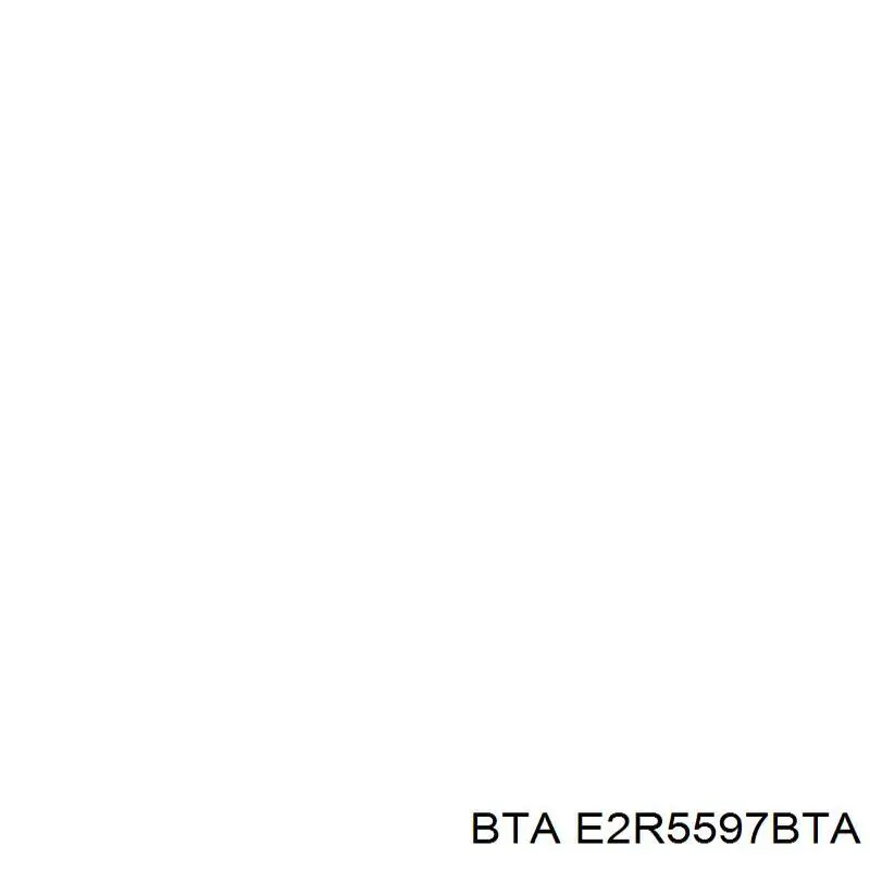 Паразитный ролик E2R5597BTA BTA