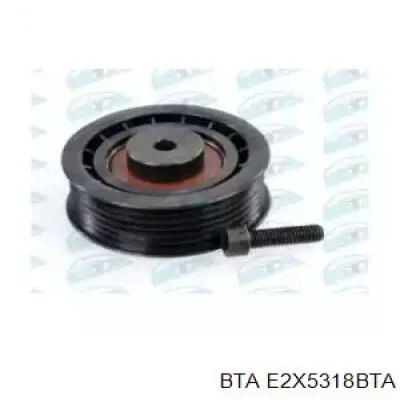 Паразитный ролик E2X5318BTA BTA