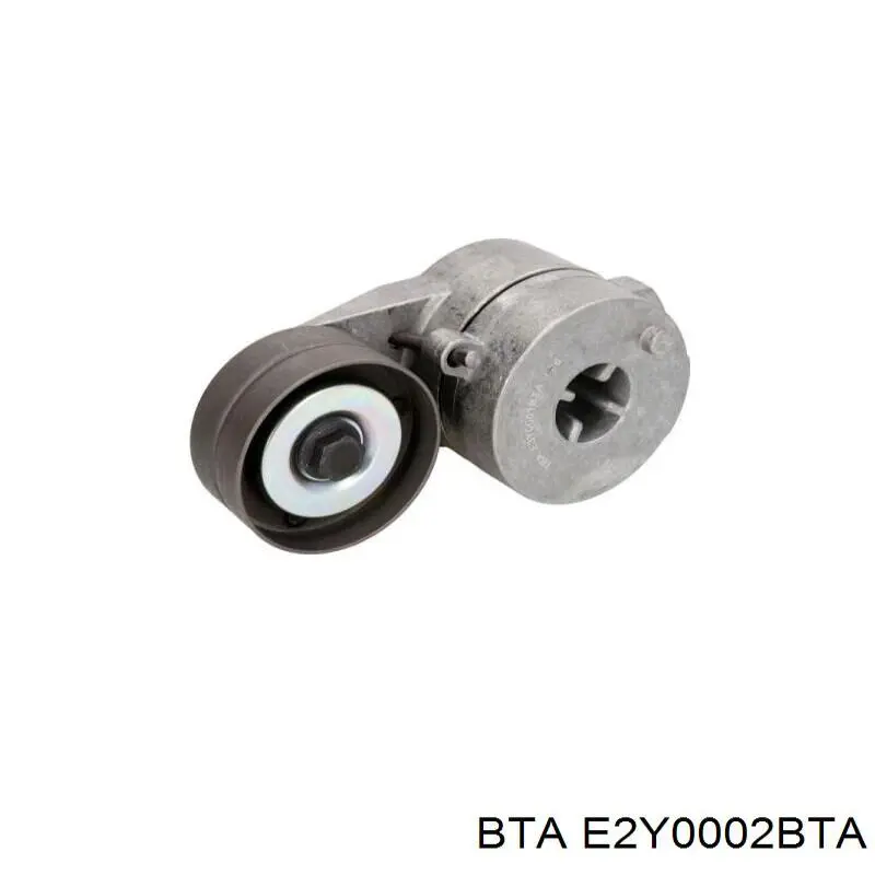 Купить E2Y0002BTA BTA Натяжной ролик