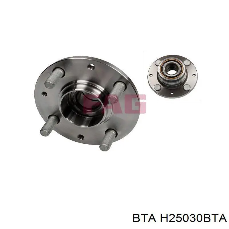 Задняя ступица H25030BTA BTA