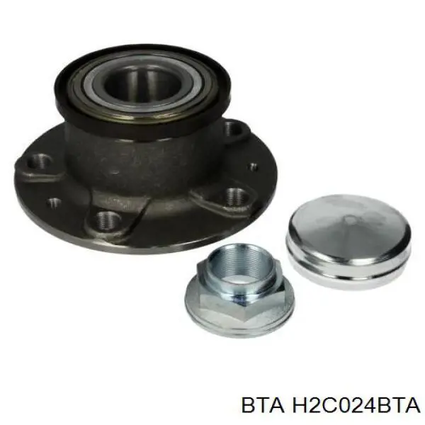 H2C024BTA BTA Ступица задняя