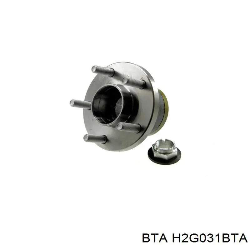 Купить H2G031BTA BTA Задняя шпиндель