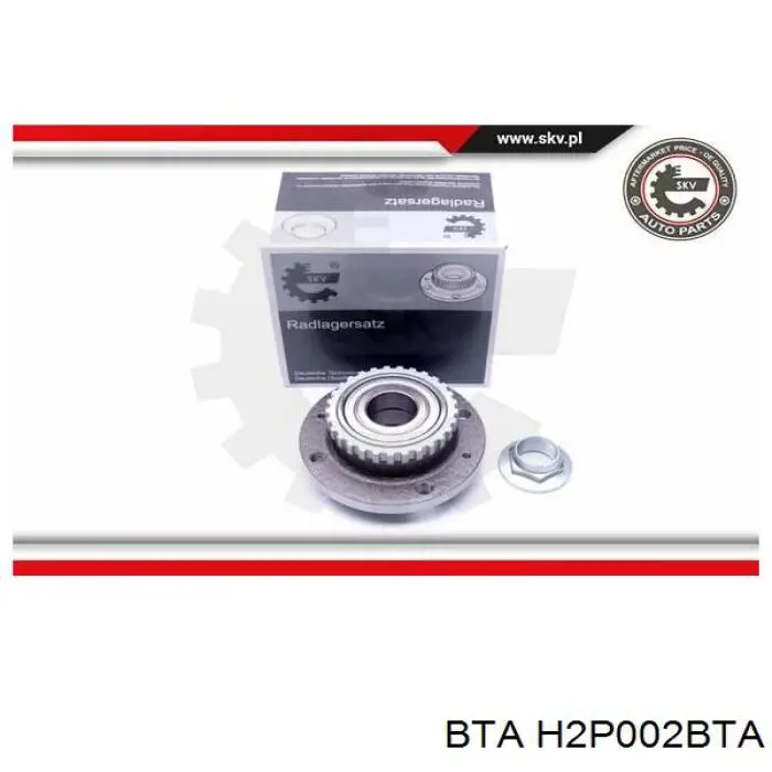 Купить H2P002BTA BTA Задняя шпиндель