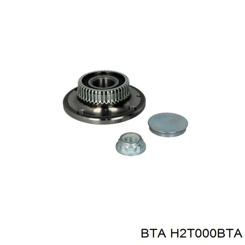Купить H2T000BTA BTA Задняя шпиндель