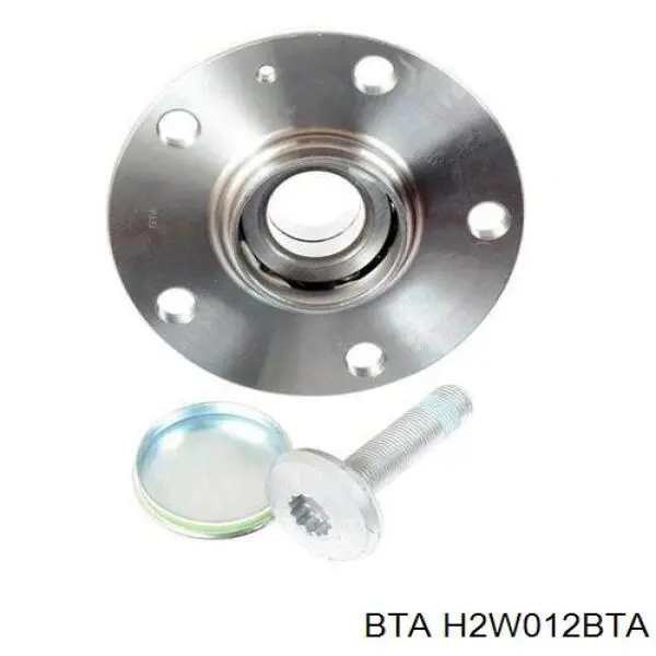 Задняя ступица H2W012BTA BTA