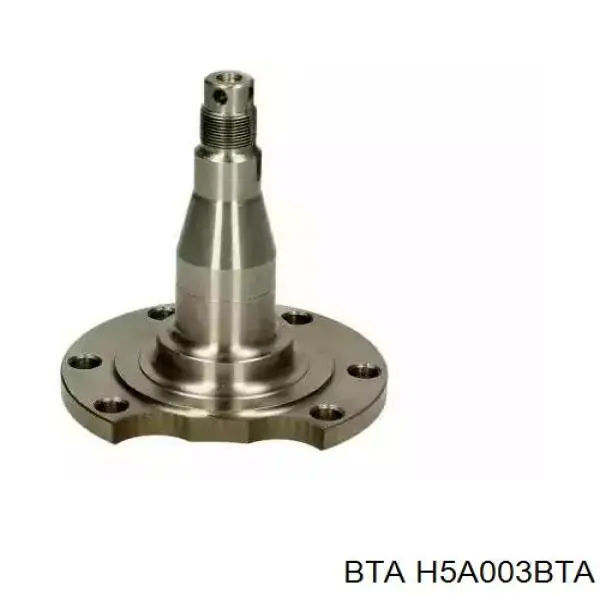 Поворотный кулак задний H5A003BTA BTA