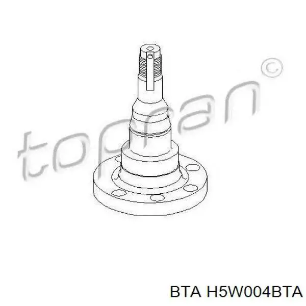 Поворотный кулак задний H5W004BTA BTA