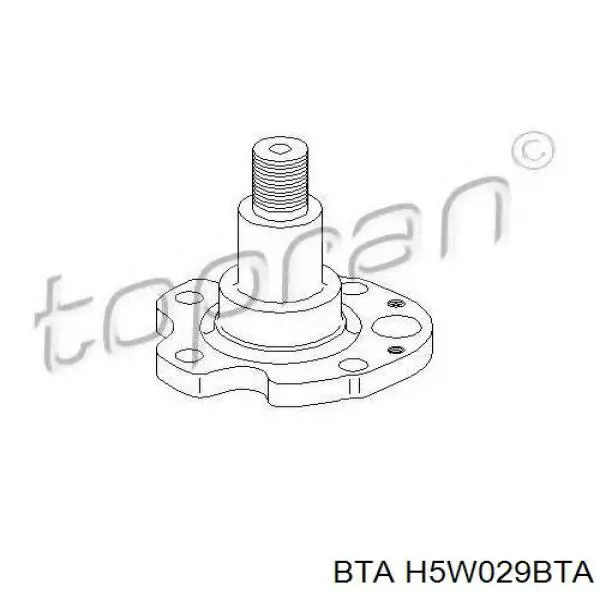 H5W029BTA BTA Цапфа задняя